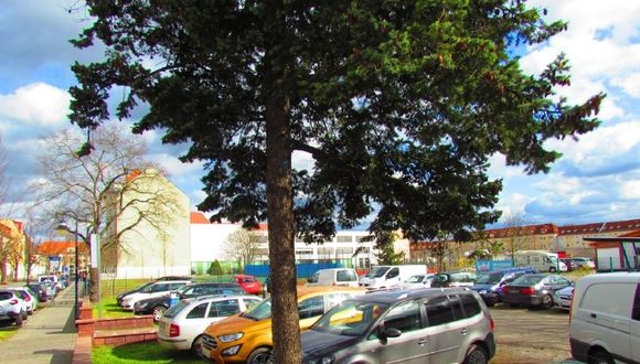 Jetzt neu: Grundstück zum Kauf in Oranienburg